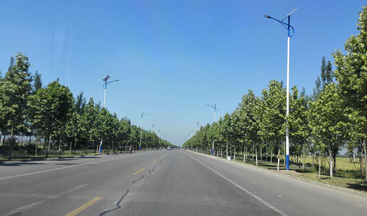 農(nóng)村太陽(yáng)能路燈